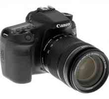 Canonovi digitalni fotoaparati: recenzije. Kamera Canon: popravak. Najbolje kamere Canon