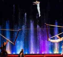 Cirkus plesnih fontana `Aquamarine`, `Tajna muzeja snova`: recenzije, trajanje…