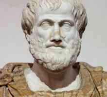 Aristotelov citat države ostaje relevantan za ovaj dan