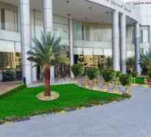 Crown Palace Hotel Ajman 3 * (Ujedinjeni Arapski Emirati / Ajman): recenzije i ocjene