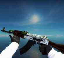 CS GO: hydroponics AK-47 po cijeni od cijele konoplje grm