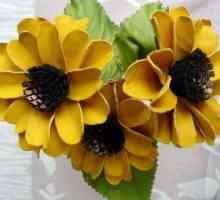 Cvijet od Foamiran: stvarajte nevjerojatnu nježnost i fantastičan realizam svojim rukama!