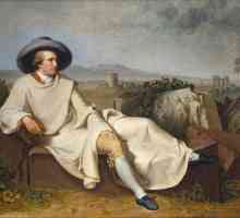Goetheov krug boja i njegova upotreba