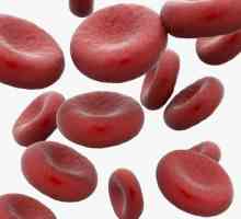 Indeks boja krvi: koncept, izračun i interpretacija rezultata