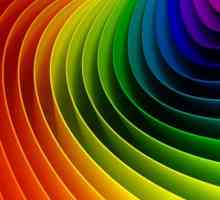 Spektar boja: koji segmenti dijele i kako ga vidimo?