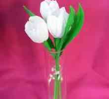 Cvijeće od krep papira: tulipani i kročuti