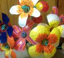 Cvijeće iz plastičnih bočica: majstorska klasa s opisom korak po korak