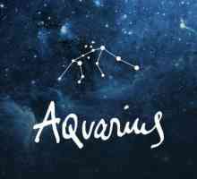 Cvijeće od Aquarius by horoskop: popis, značajke i preporuke