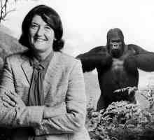 Diane Fossey: fotografija, biografija, znanstveni rad