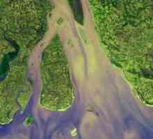 Delta rijeke je poseban ekosustav