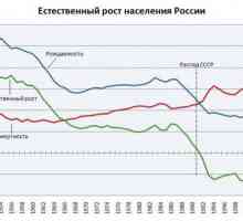 Demografske jame u Rusiji: definicija, opis, glavni putevi iz krize