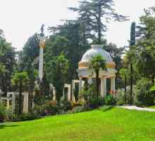 Arboretum je oaza u središtu megalnosti