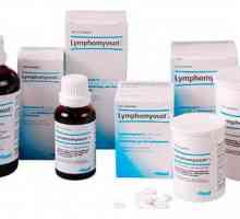 Jeftini analogni Lymphomyosot. Upute, upute za uporabu