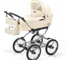 Noordline baby strollers: pregled, vrste, značajke i recenzije vlasnika