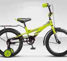 Dječji bicikli Stels: pregled, modeli, specifikacije i recenzije