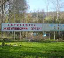 Dječji zdravstveni kamp `Zhigulevsky Artek` u Samari (Molodetsky Kurgan): opis,…