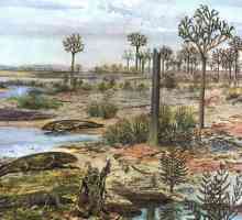 Devonsko razdoblje paleozojskog doba