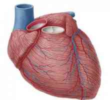 Dijagnoza koronarne bolesti srca, klasifikacija, simptomi i liječenje