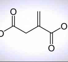Dikarboksilne kiseline: opis, kemijska svojstva, proizvodnja i primjena