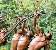 Дикие племена Амазонки. Современная жизнь племён Амазонки