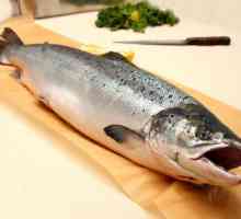 Divlji losos: opis, značajke, svojstva i najbolji recept