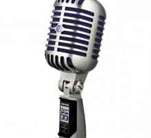 Dinamični mikrofon - odličan pojačalo zvuka
