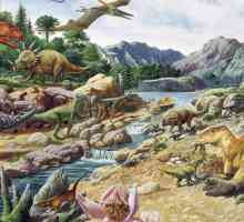Jurassic dinosaura i ostalih životinja jure. Svijet jure (foto)