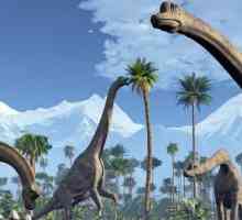 Динозавры: как вымерли? Когда вымерли динозавры?