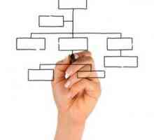 Dividaciona organizacijska struktura poduzeća