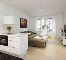 Dizajn 1-sobnih apartmana: mogućnosti, izbor stila, savjeti