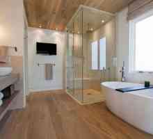 Dizajn kupaonice je moderan: ideje uređenja velike i male kupaonice