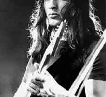 David Gilmour: Diskografija i zanimljive činjenice