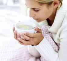 Za prevenciju gripe i prehlada: popis najboljih