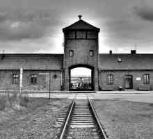 Dokumentarni i igrani filmovi o Auschwitzu