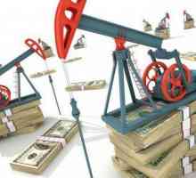 Udio nafte u ruskom proračunu: mitovi i stvarnost