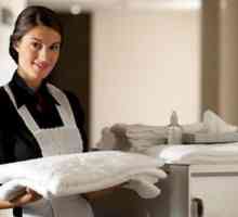Opis posla kućanskog doma: dužnosti, funkcije i uzorak