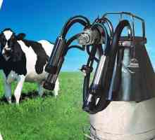 Kućno mliječni stroj za krave: savjet o odabiru i povratnoj informaciji