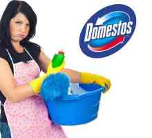 Domestos: upute za uporabu i razni savjeti o idealnoj čistoći u kući