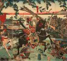 Oklop samuraja: imena, opis, svrha. Samurajski mač