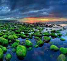 Island Atrakcije: Priroda, klima i zanimljive činjenice
