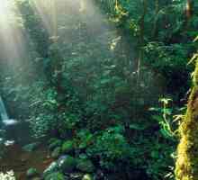 Atrakcije, Kostarika: opis, povijest i recenzije