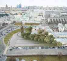 Znamenitosti Moskve: Trg Borovitskaya