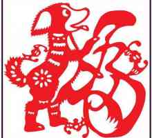 Dragon and Dog: kompatibilnost na istočnom horoskopu i izglede odnosa