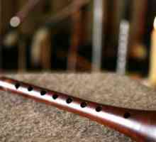Najstariji glazbeni instrument, ili Što je zurna