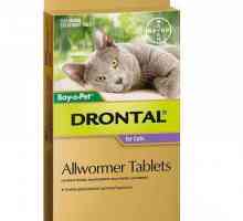 `Drontal` za mačke: korisnički priručnik (recenzije)