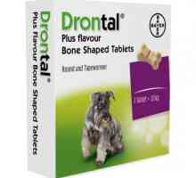 `Drontal` za pse: indikacije, upute za uporabu, nuspojave, recenzije