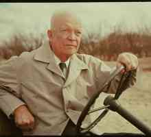 Dwight Eisenhower: Domaća i vanjska politika