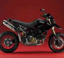 Ducati Hypermotard: Pregled
