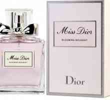 Parfemi Dior: Povijest parfema i asortimana