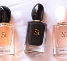 Perfume Si: opis mirisa, karakterističan, proizvođač. Parfem Giorgio Armani Si: cijena, recenzije